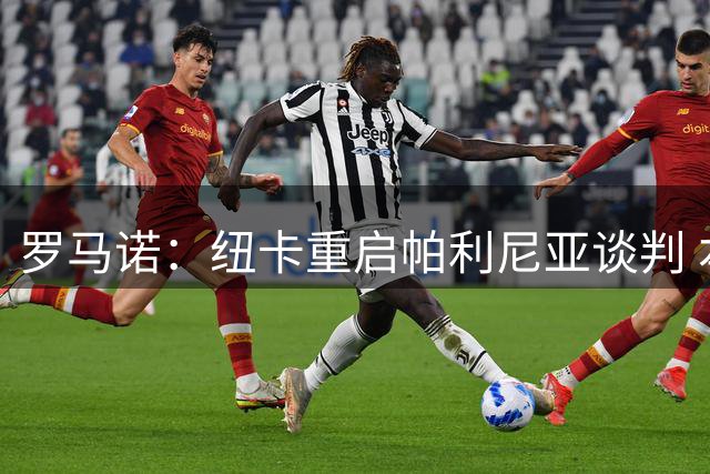 罗马诺：纽卡重启帕利尼亚谈判 本菲卡备选方案浮出水面