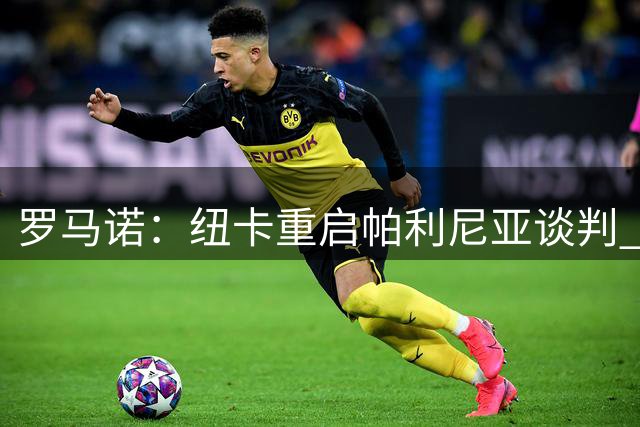 罗马诺：纽卡重启帕利尼亚谈判 本菲卡备选方案浮出水面